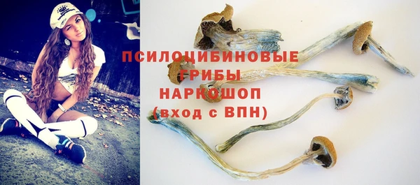 гидра Волоколамск