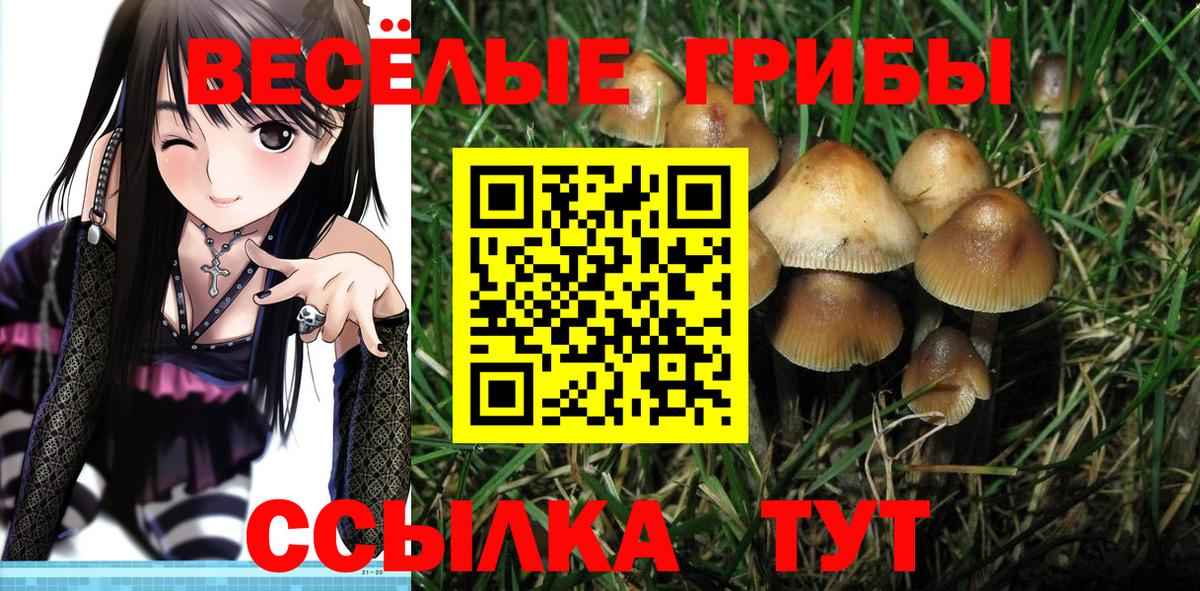 Псилоцибиновые грибы GOLDEN TEACHER  Вход с VPN  Выкса 