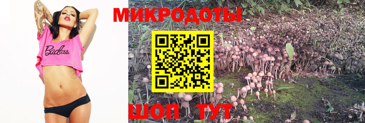 Галлюциногенные грибы Psilocybine cubensis Выкса