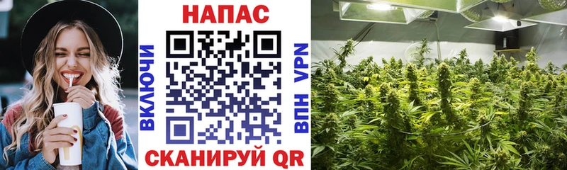 Канабис Ganja  darknet наркотические препараты  Выкса 