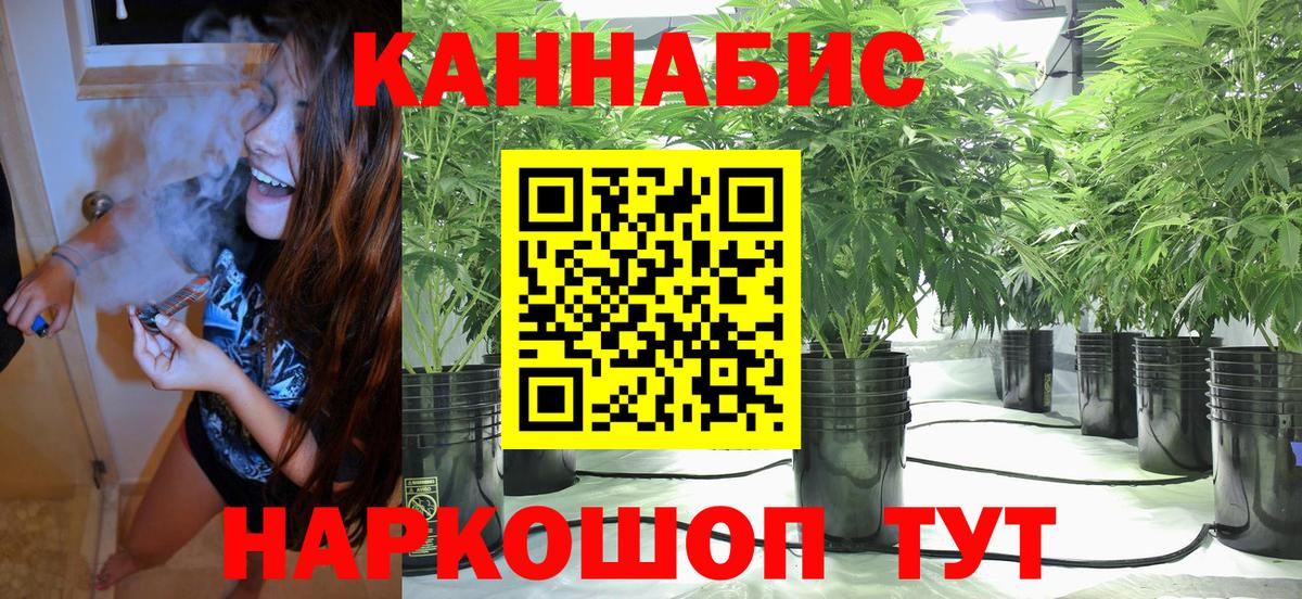 Конопля конопля Выкса